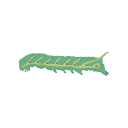 Icon Larva