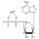 Structure Of Adp