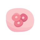 Stem Cell