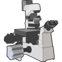 Super Resolution Free Illustration