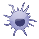 Dendritic Cell Three