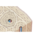 Osteon Of Bone