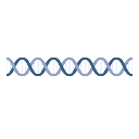 Dna Helix One
