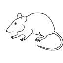 356 Freezing Mouse