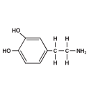 Dopamine