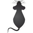 308 Mouse Top By Gc
