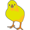 318 Chick Wut01v R