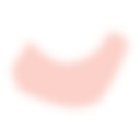 Free Scientific Illustration Of Dividing B Cell