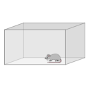 Cage With Mouse