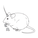 116 Mouse Obese Eating Fiber