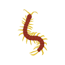 Icon Centipede