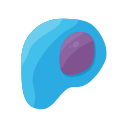 Plasma Cell