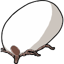 Free Scientific Illustration Of Hyalomma Tick Silhouette