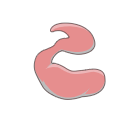 Free Illustration Argonaute Protein