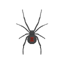 Icon Black Widow Spider