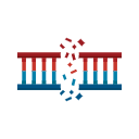 Svg Ds Dna Break