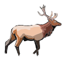 Elk Deer Vector