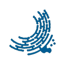 Endoplasmic Reticulum