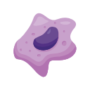 Macrophage