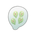 Svg Gamete Formation