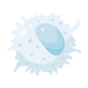 Natural Killer Cell