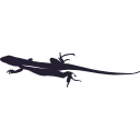 77 Lizard Running Silhouette