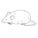 107 Mouse Fat Sleeping