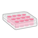 12 Well Plate Free Illustration