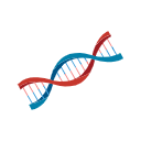Svg Dna Double Helix