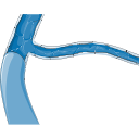 Human Veins Diagram 1
