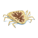 Free Scientific Illustration Of Argas Monolakensis Larvae