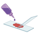 Staining Of Blood On Slide