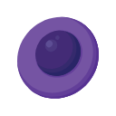 Cd4 T Cell