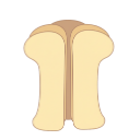 Ion Channel Six
