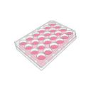 24 Well Plate Free Illustration