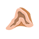 Icons Adrenal Gland