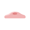Endothelial Cell