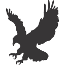 34 Bird Silhouette2