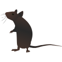 87 Mouse Rearing 7y Jcrn F