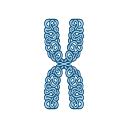 Icon Chromosome