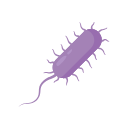 Icons Bacillus