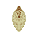 Icon Sheep Liver Fluke