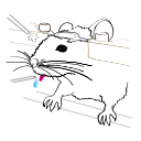 44 Mwm Mousewairpuffnew