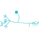 408 Asb Drosophila Neuron 3