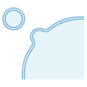 Membrane Budding