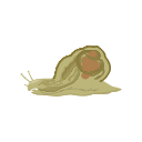 Icon Snail Anatomy Section