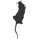 32 Mouse Silhouette Top
