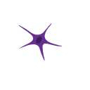 Astrocyte Purple