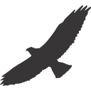 33 Bird Silhouette