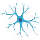 480 Astrocyte